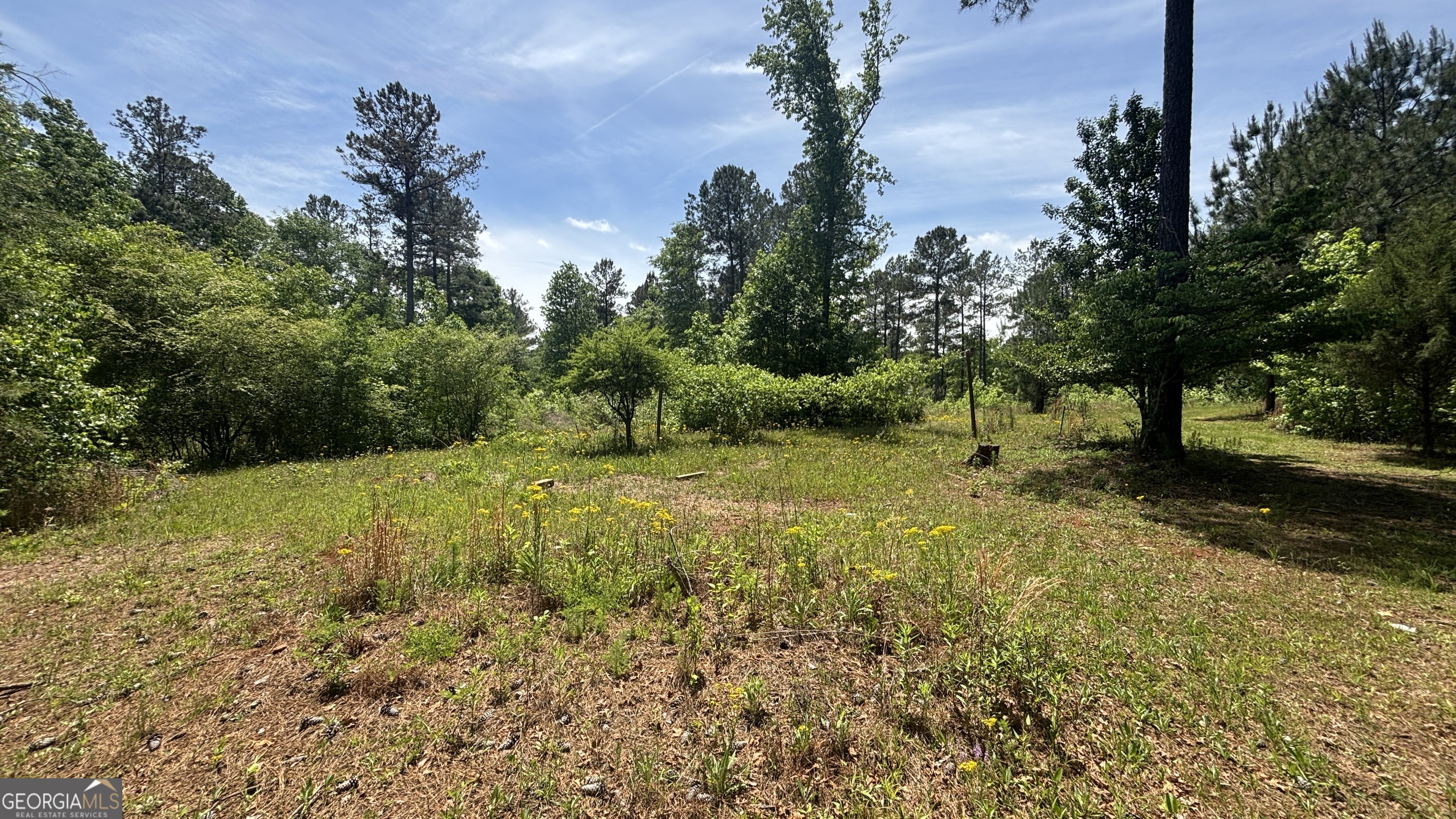 537 Zellner Road Property Photo 2