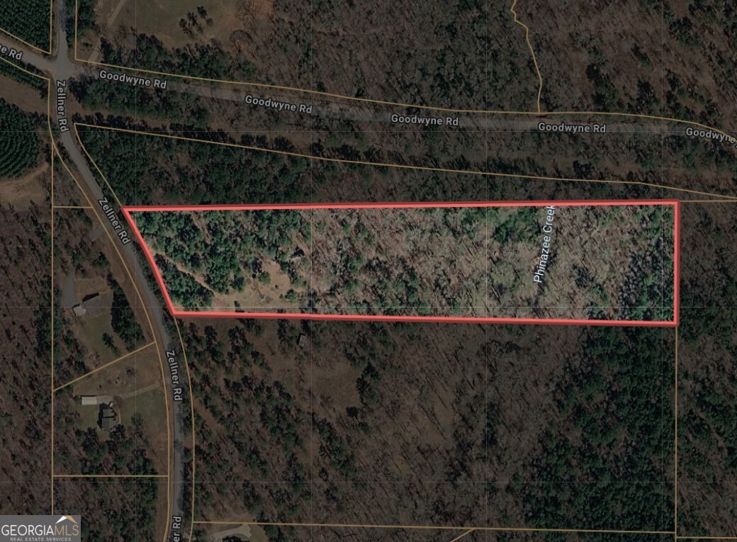 537 Zellner Road Property Photo 3