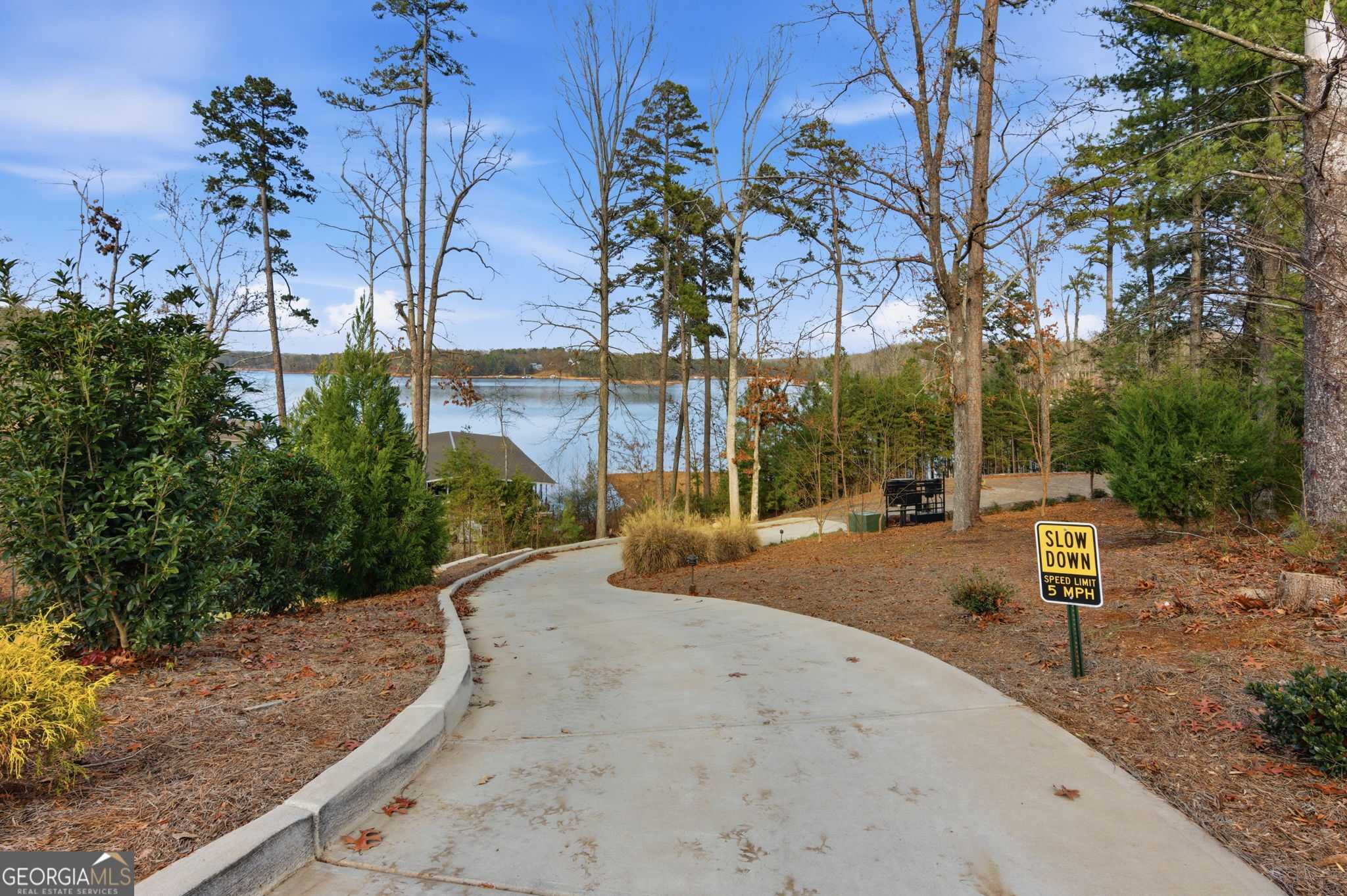4455 Palmetto Lane Property Photo 66