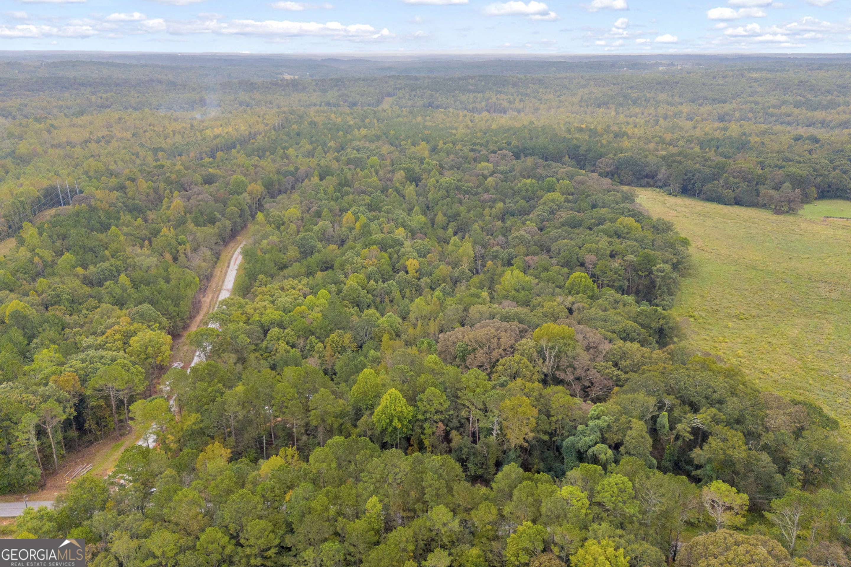 0 Curry Farms Road Lot 37 Property Photo 12