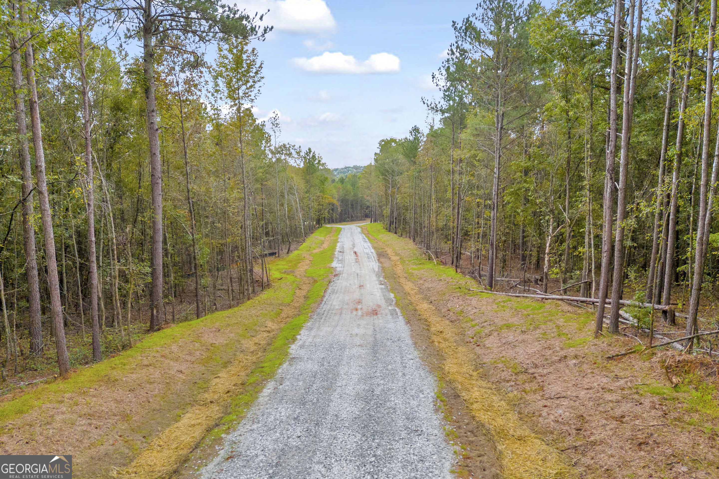 0 Curry Farms Road Lot 37 Property Photo 22