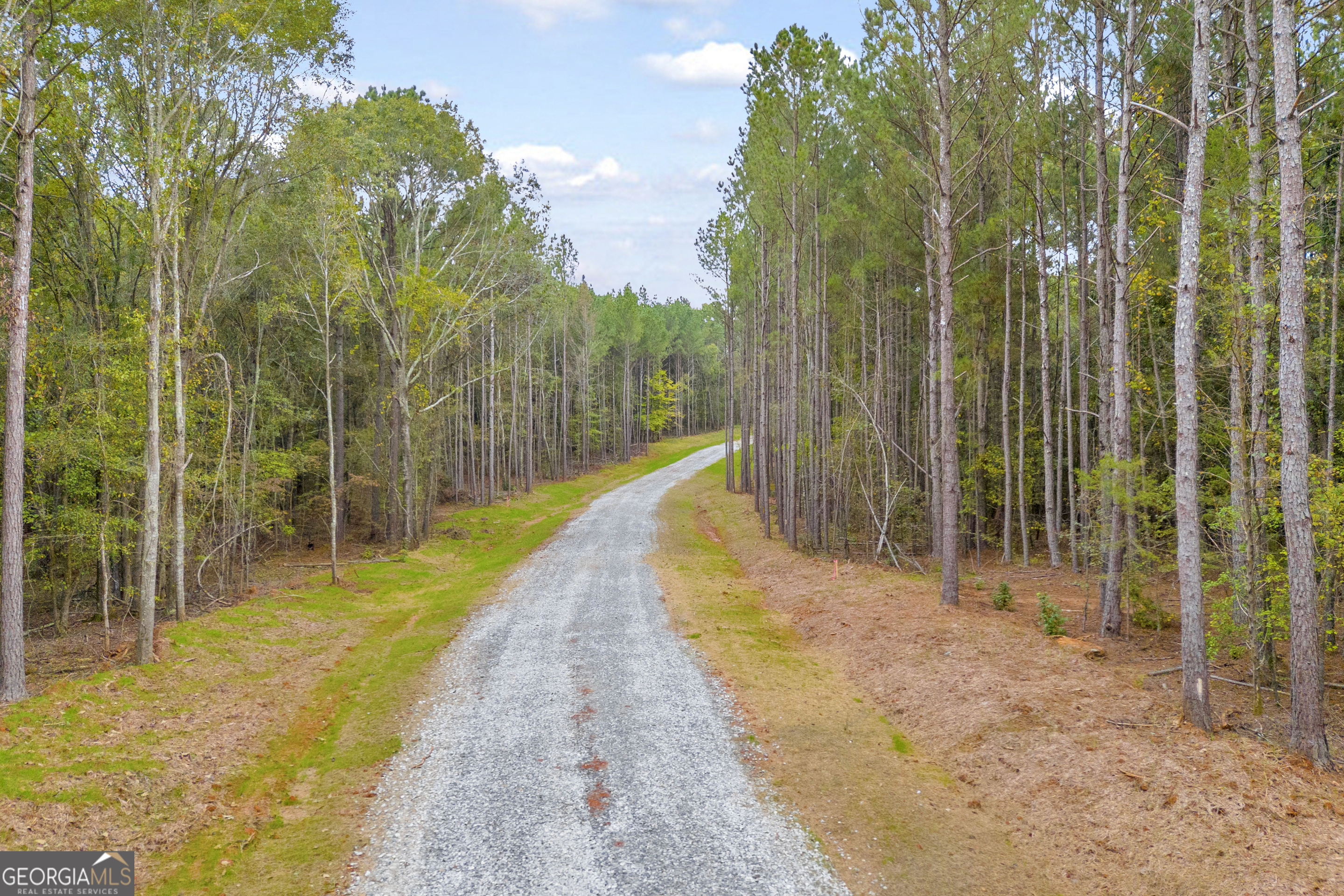 0 Curry Farms Road Lot 37 Property Photo 23