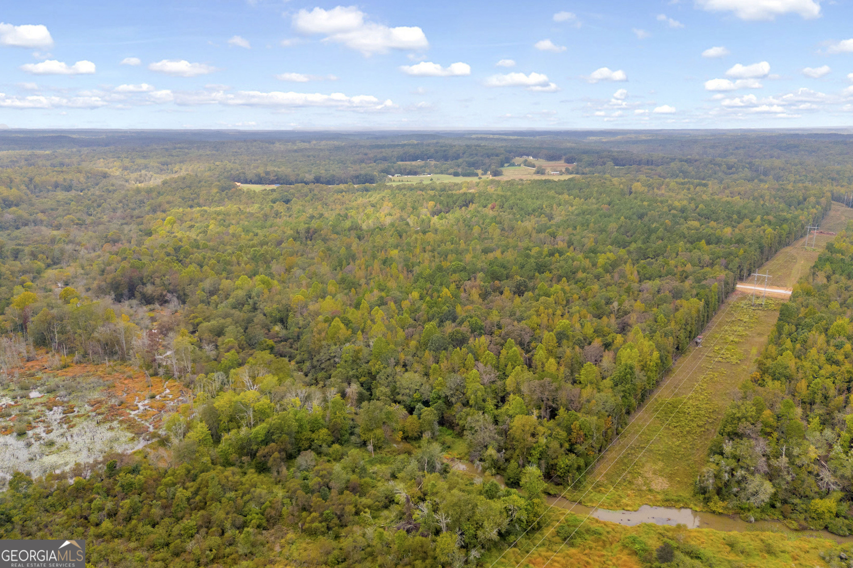 0 Curry Farms Road Lot 37 Property Photo 31