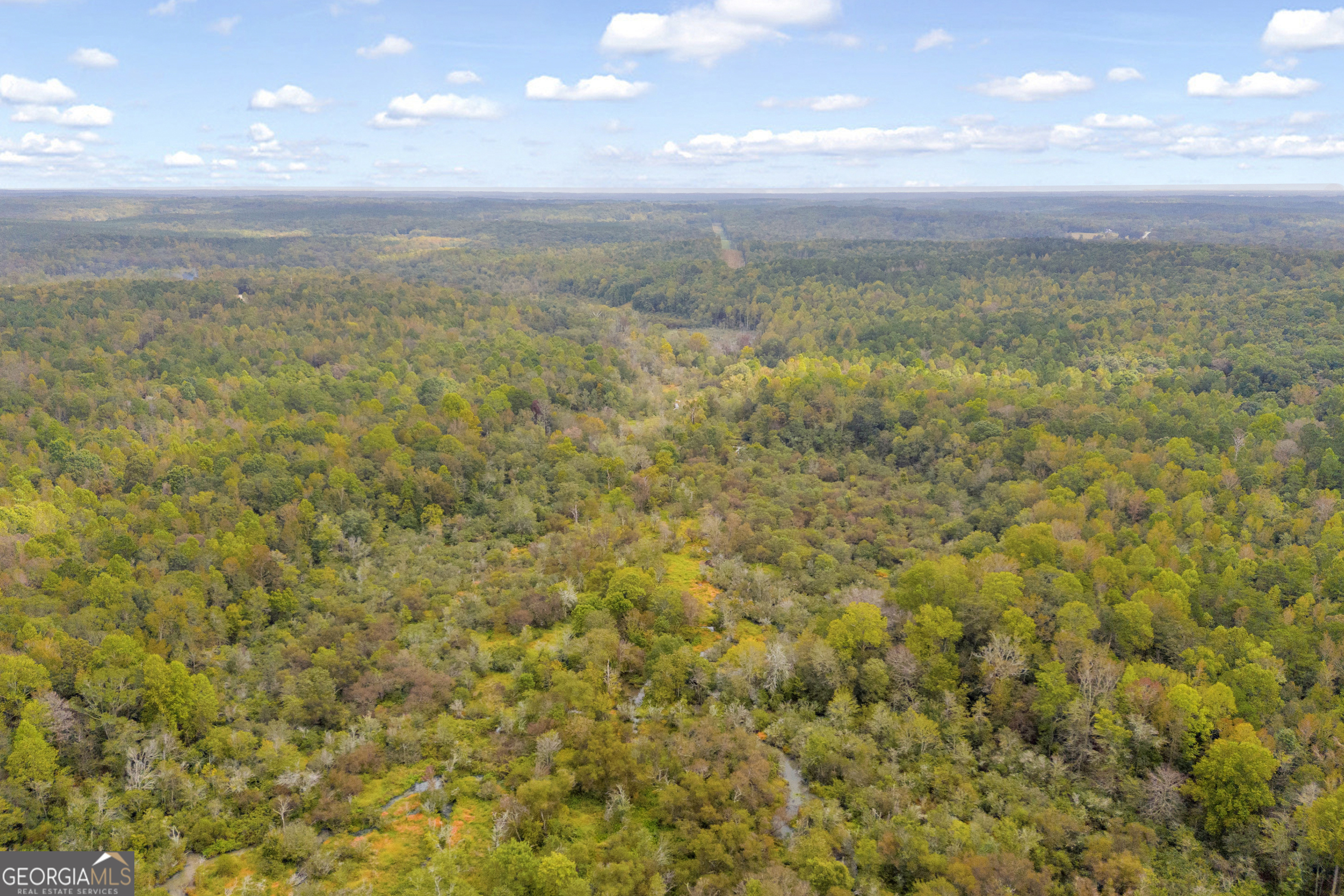 0 Curry Farms Road Lot 37 Property Photo 33
