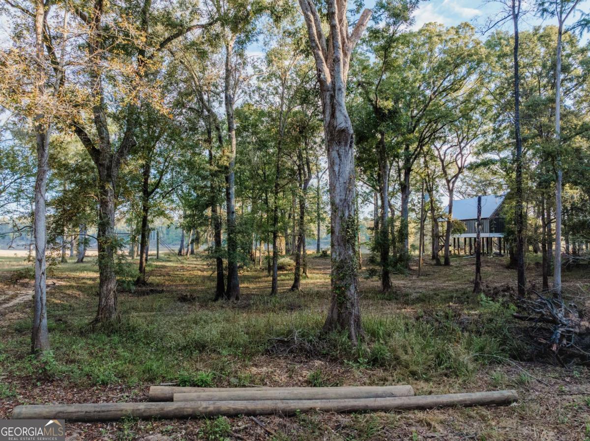 0 Eagles Point Lot 12 Property Photo 9