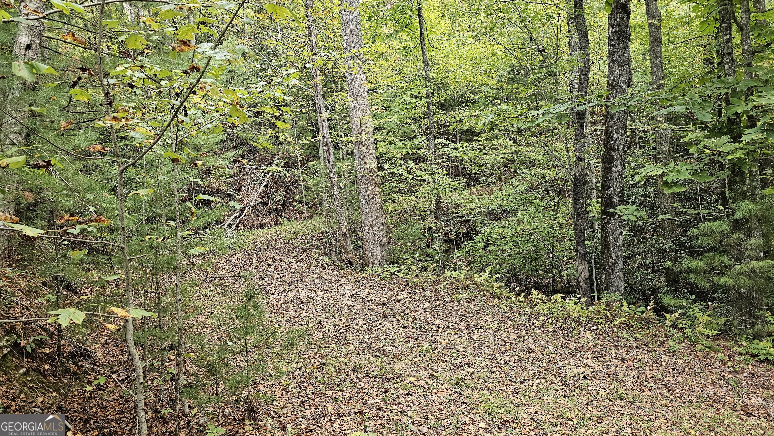 0 Bob Hoover Lot 78 Property Photo 3