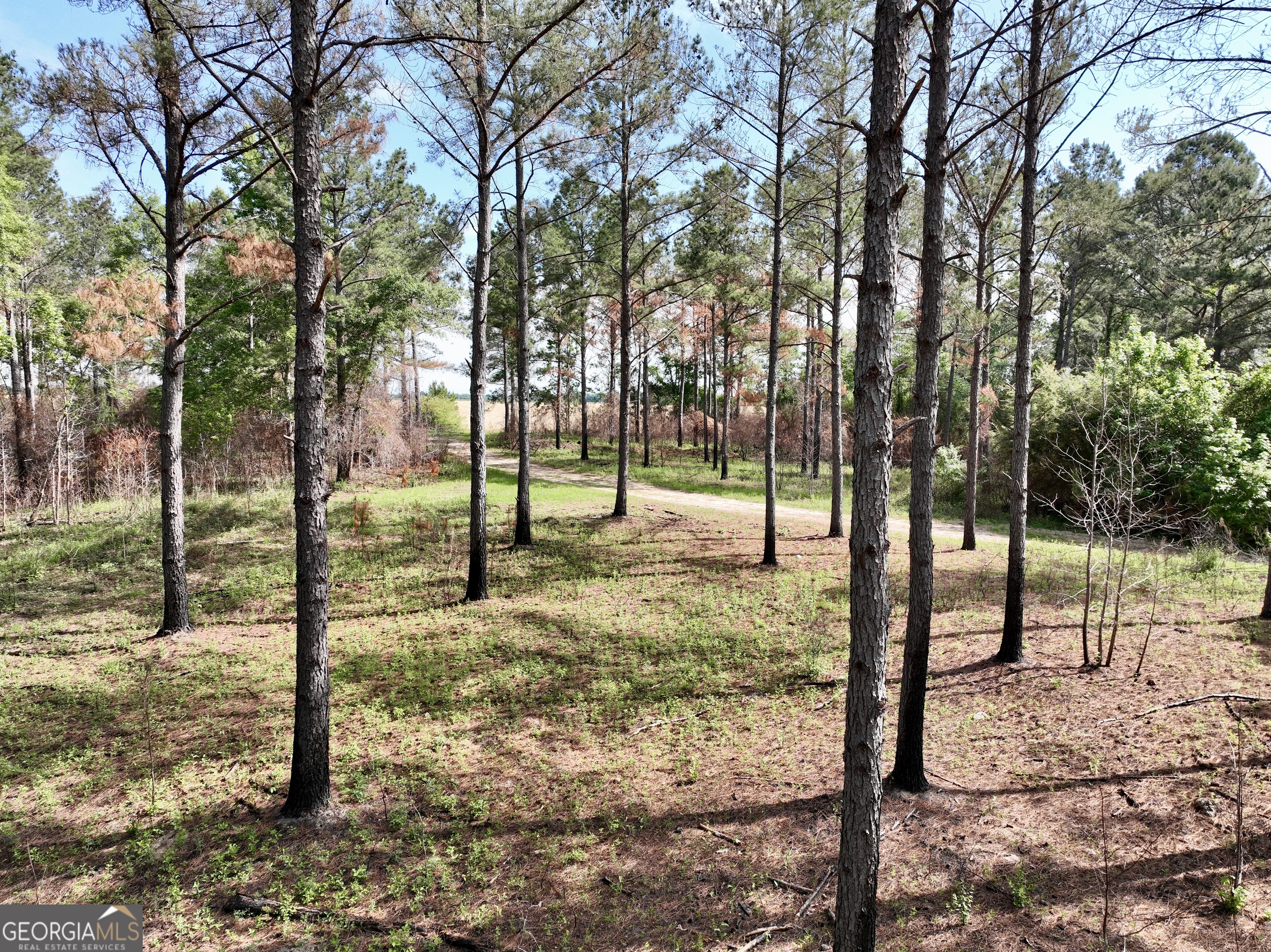 0 Folds Road Property Photo 16