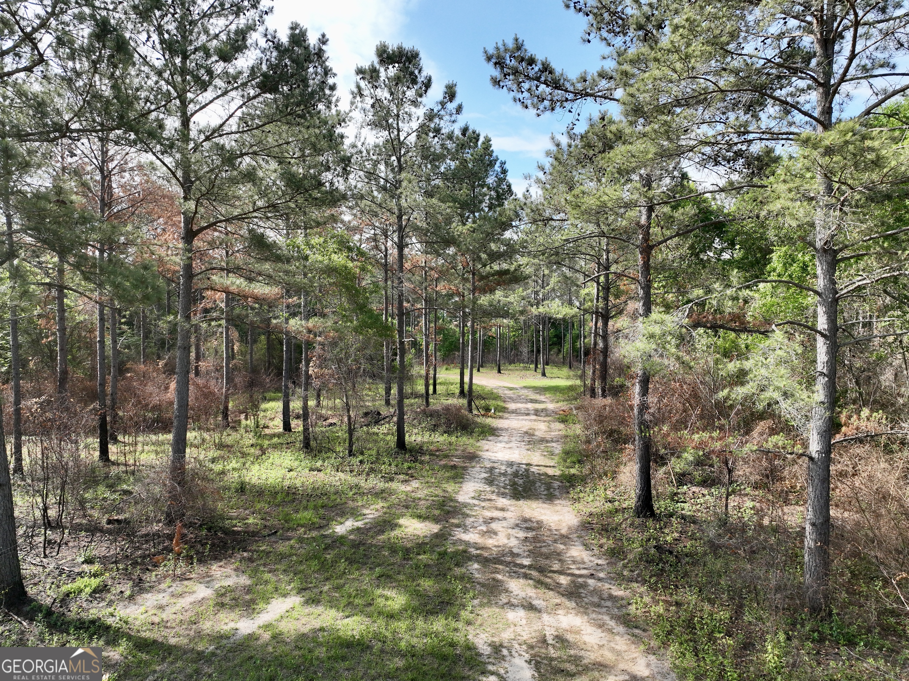 0 Folds Road Property Photo 20