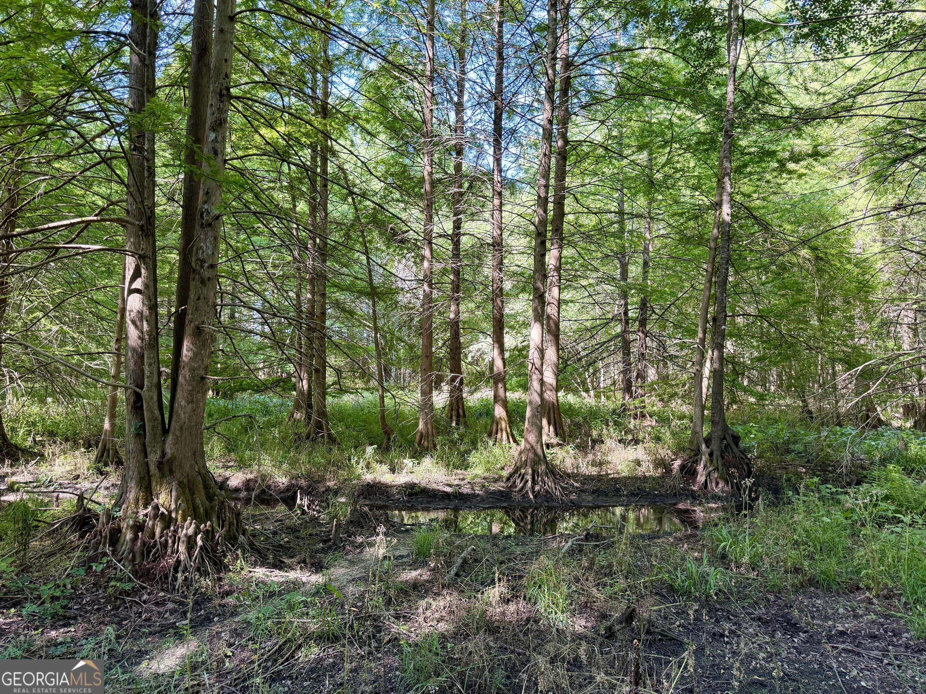 0 Folds Road Property Photo 62