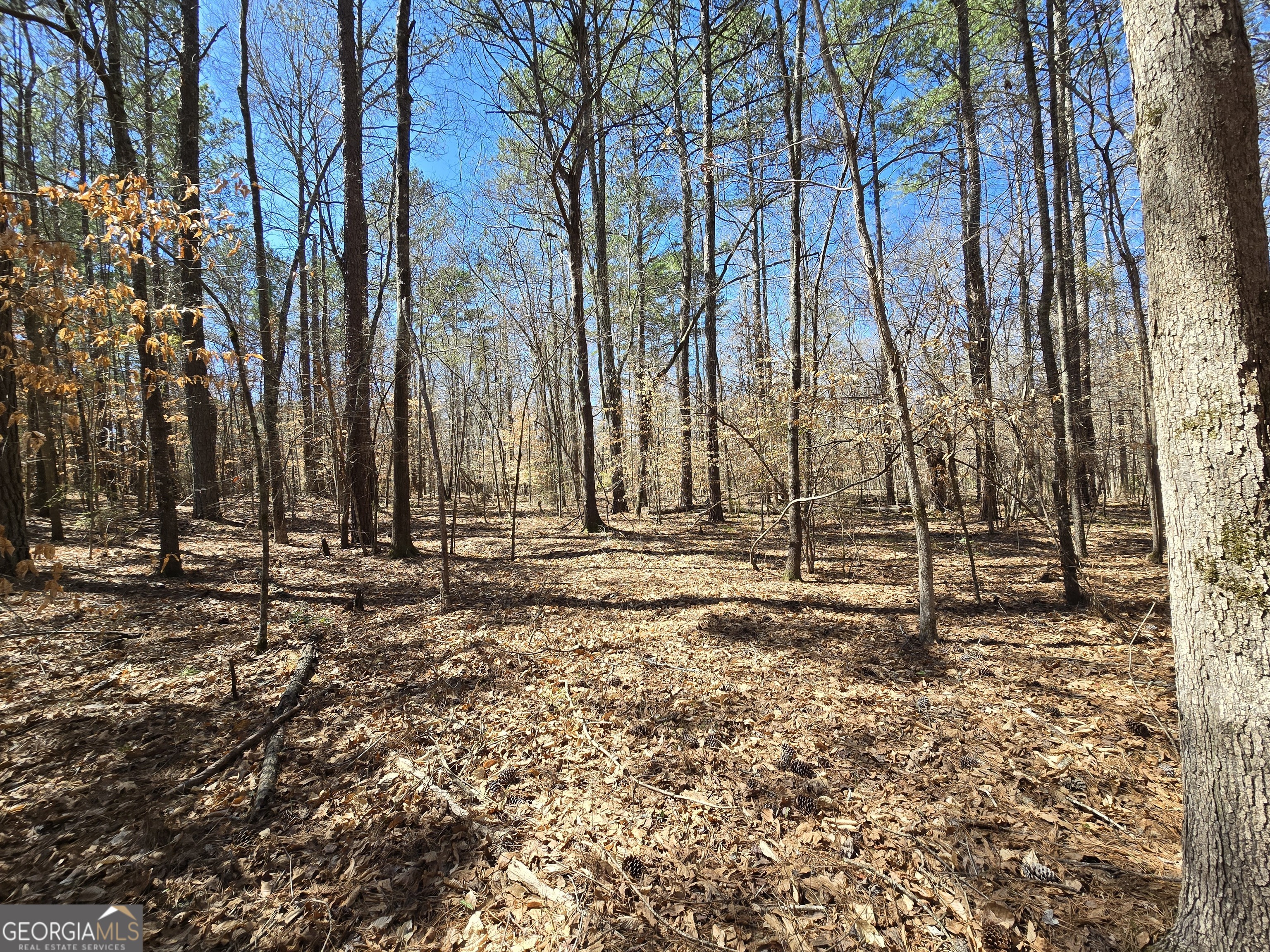 0 River Shoals Court Property Photo 1