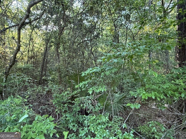 V/l 21 Lighthouse Circle Property Photo 4
