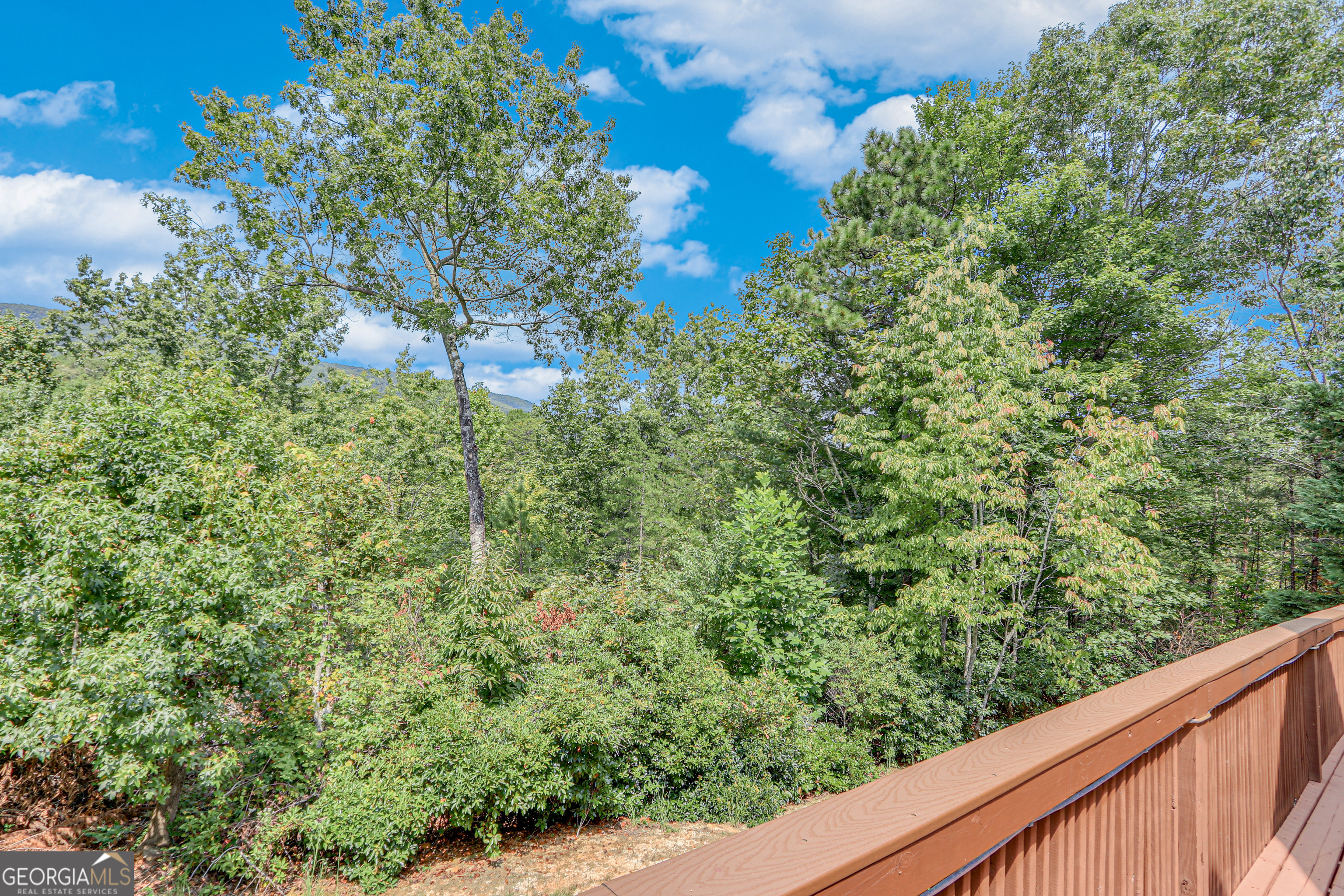 482 Monroe Ridge Road Property Photo 59