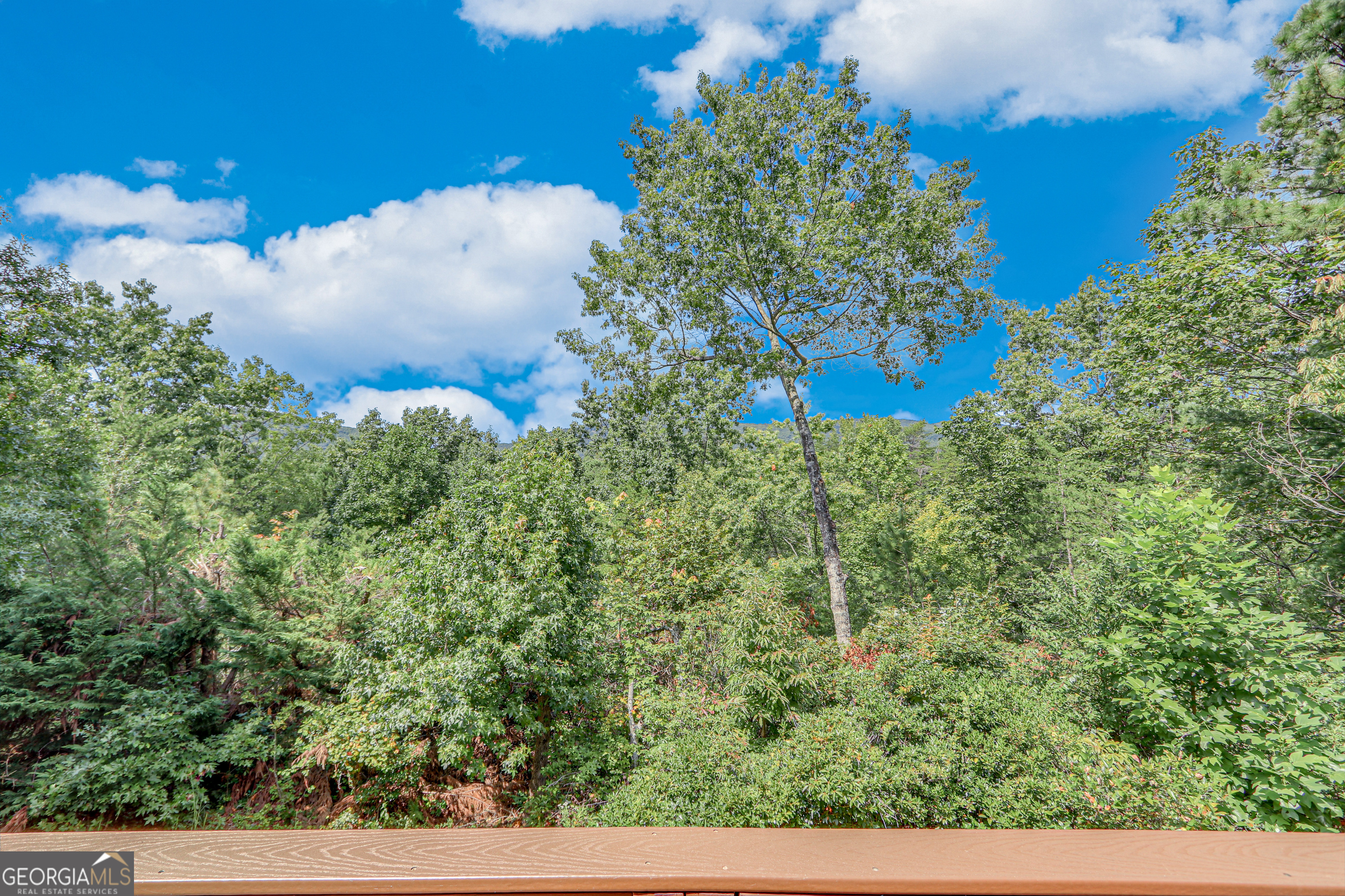 482 Monroe Ridge Road Property Photo 69