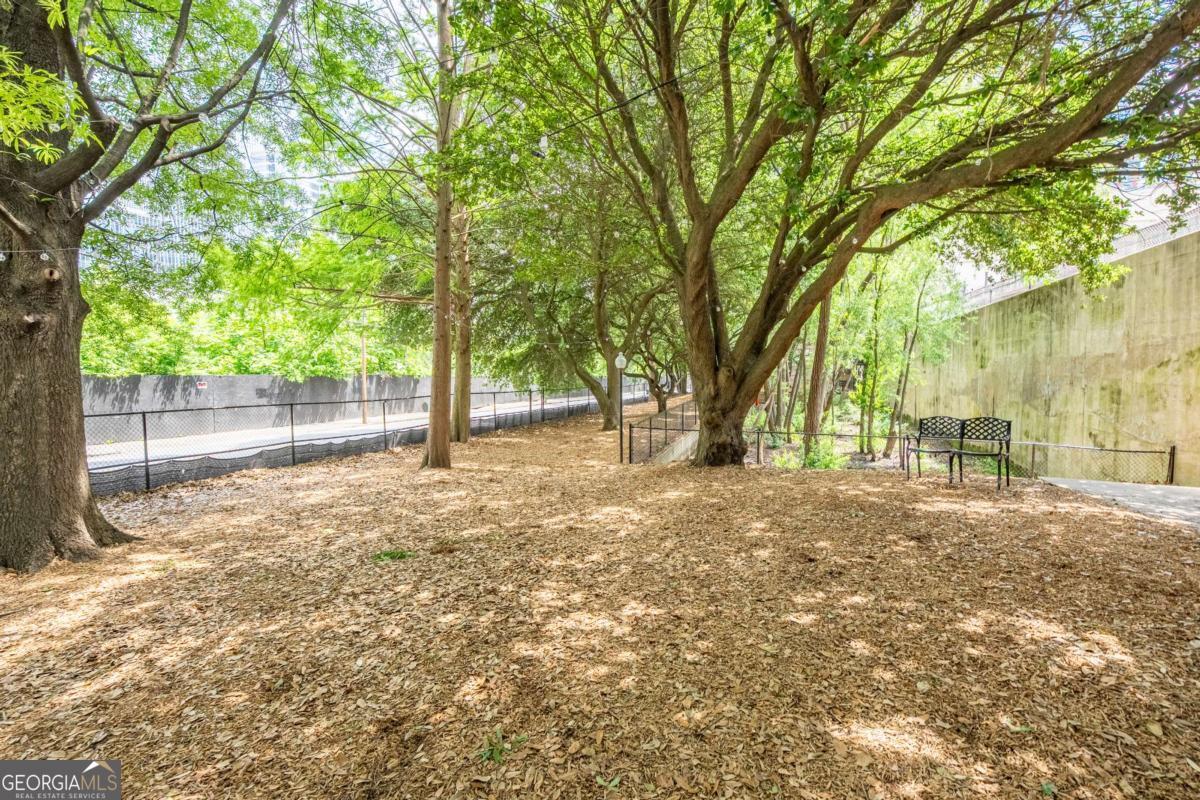 1074 Peachtree Walk Ne # B418 Property Photo 34