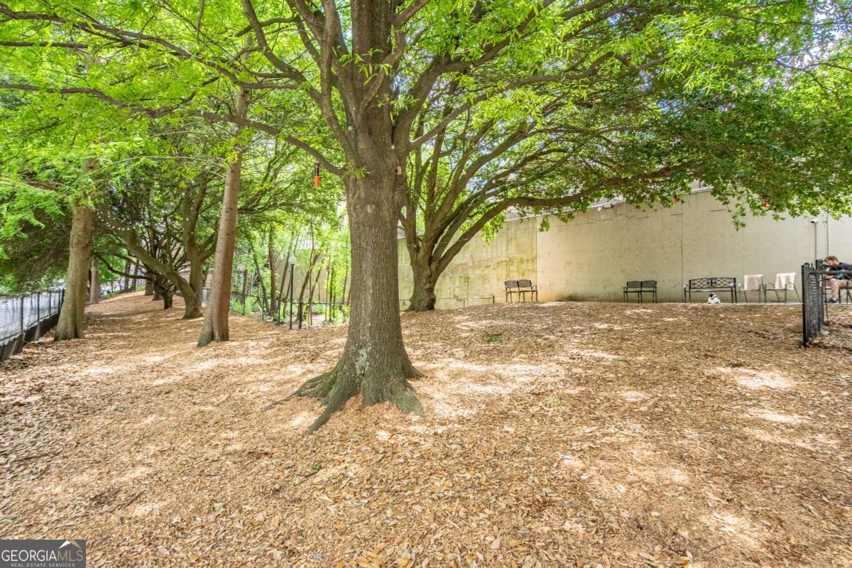 1074 Peachtree Walk Ne # B418 Property Photo 35