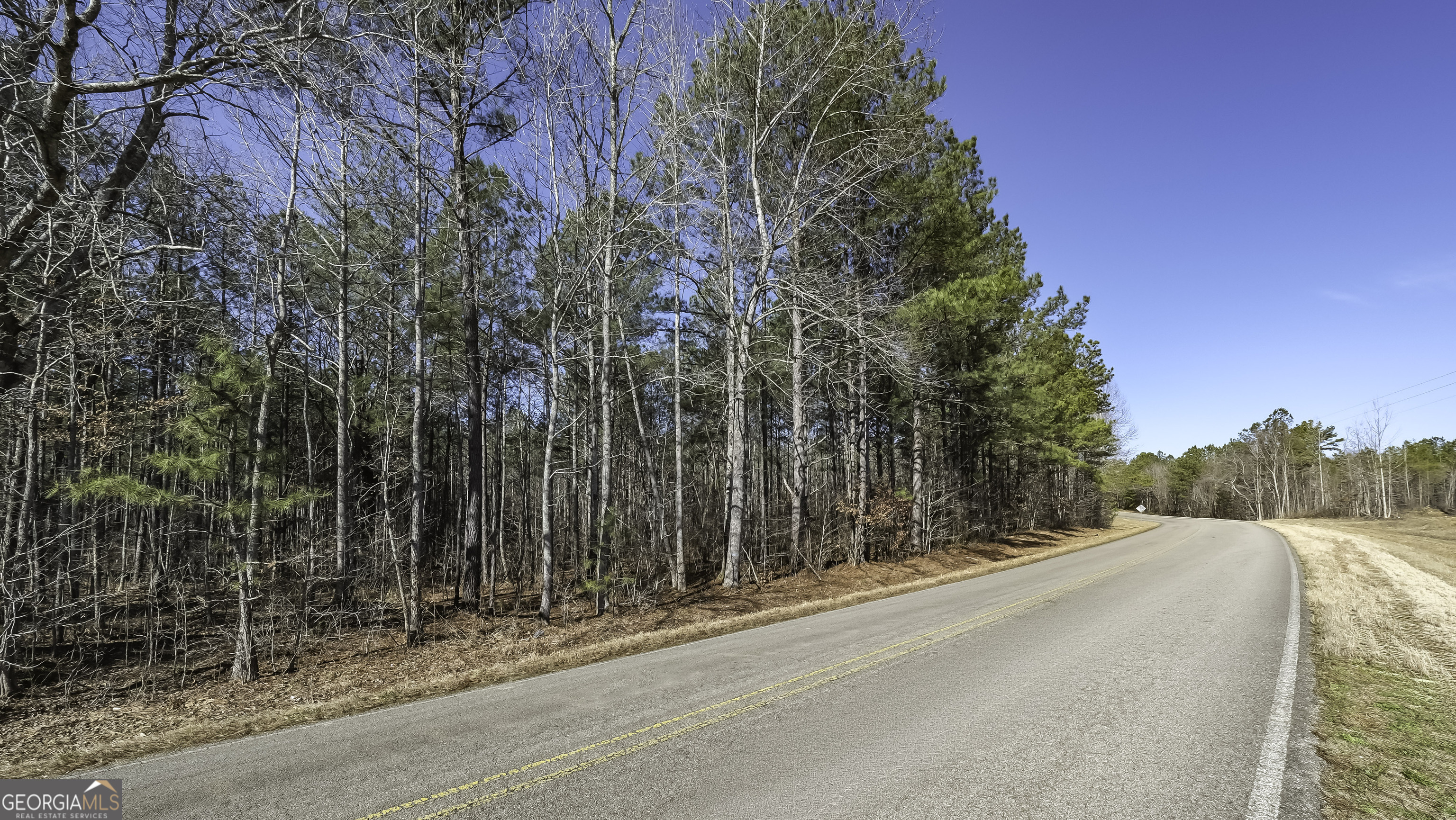 0 County Road 49 Property Photo 2