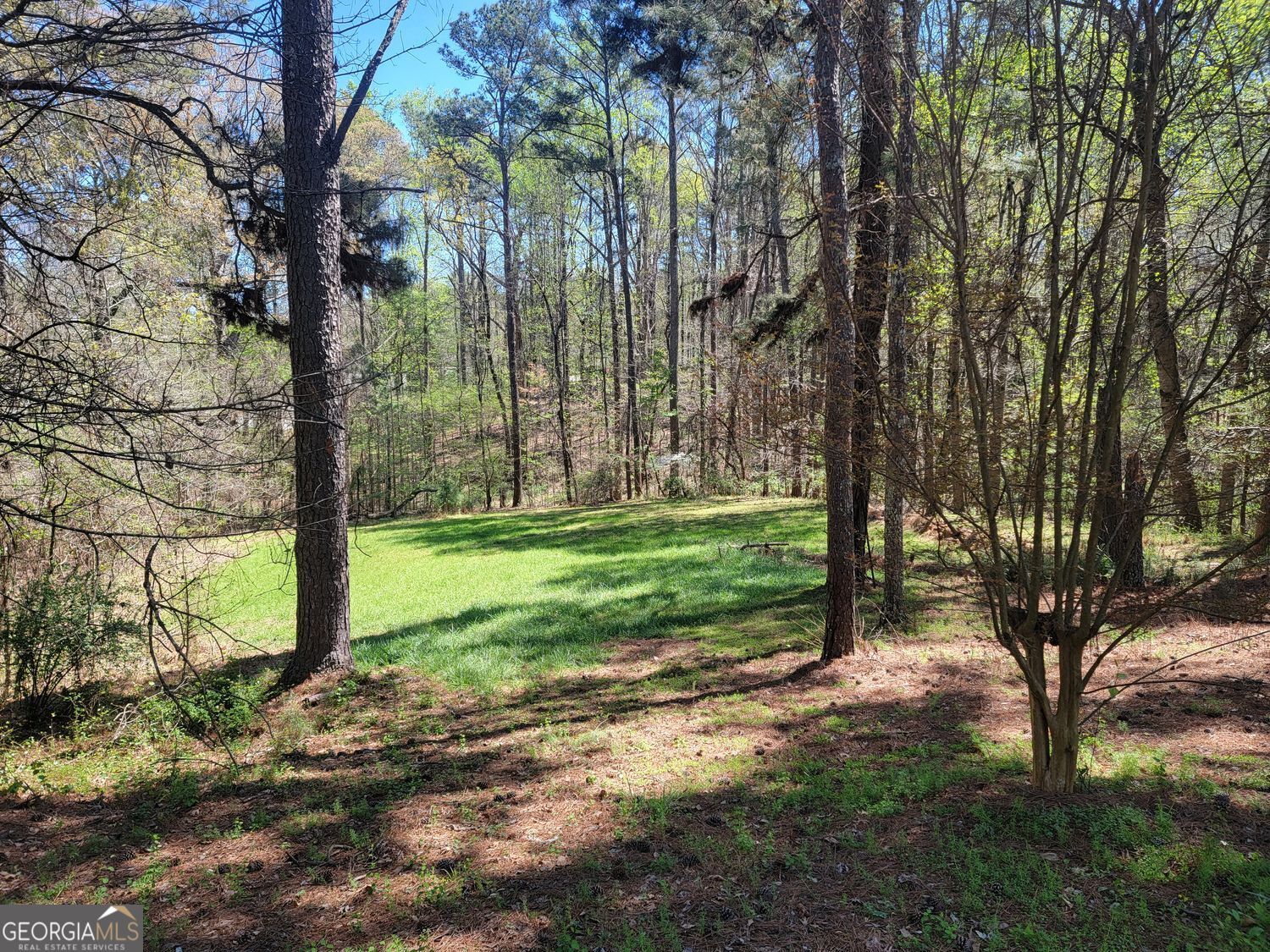 4206 Pittman Road Sw Property Photo 10