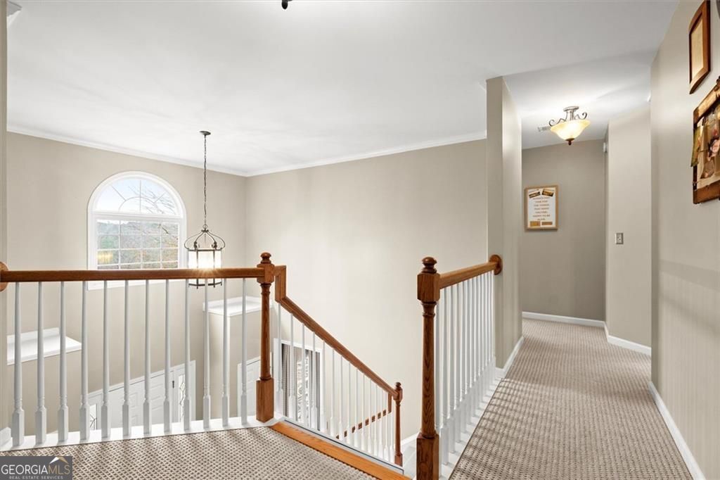 6020 Olde Council Court Property Photo 11