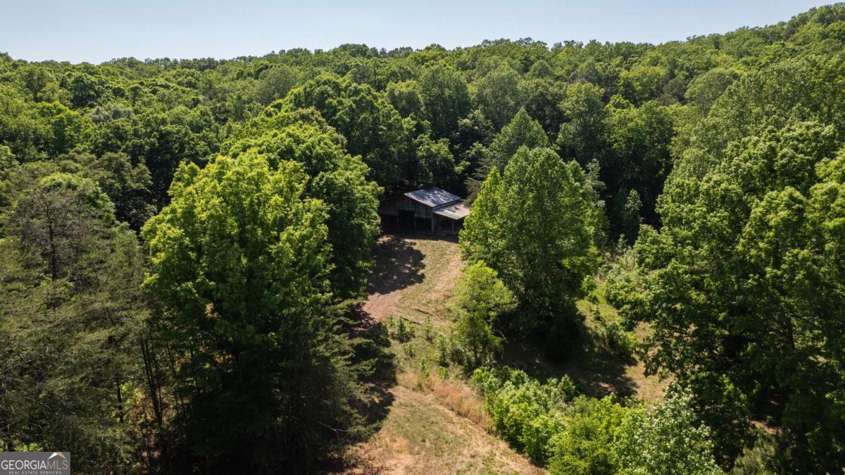 1044 Hutchings Mountain Road Property Photo 31