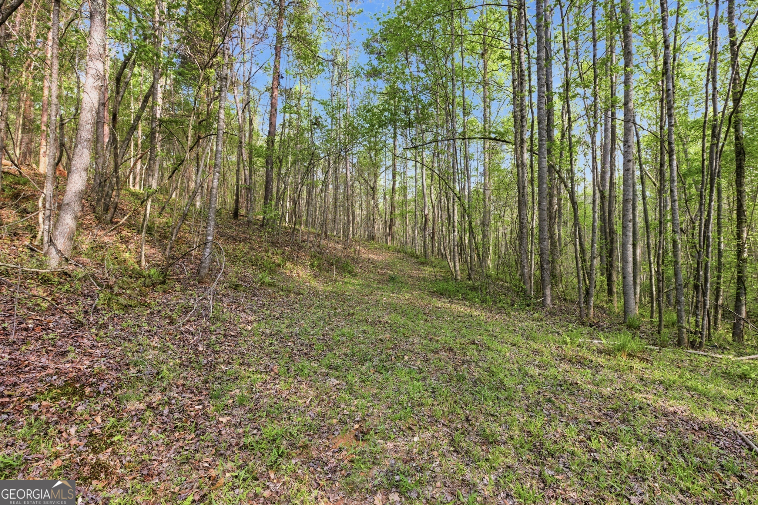 6668 Belton Bridge Road Property Photo 31