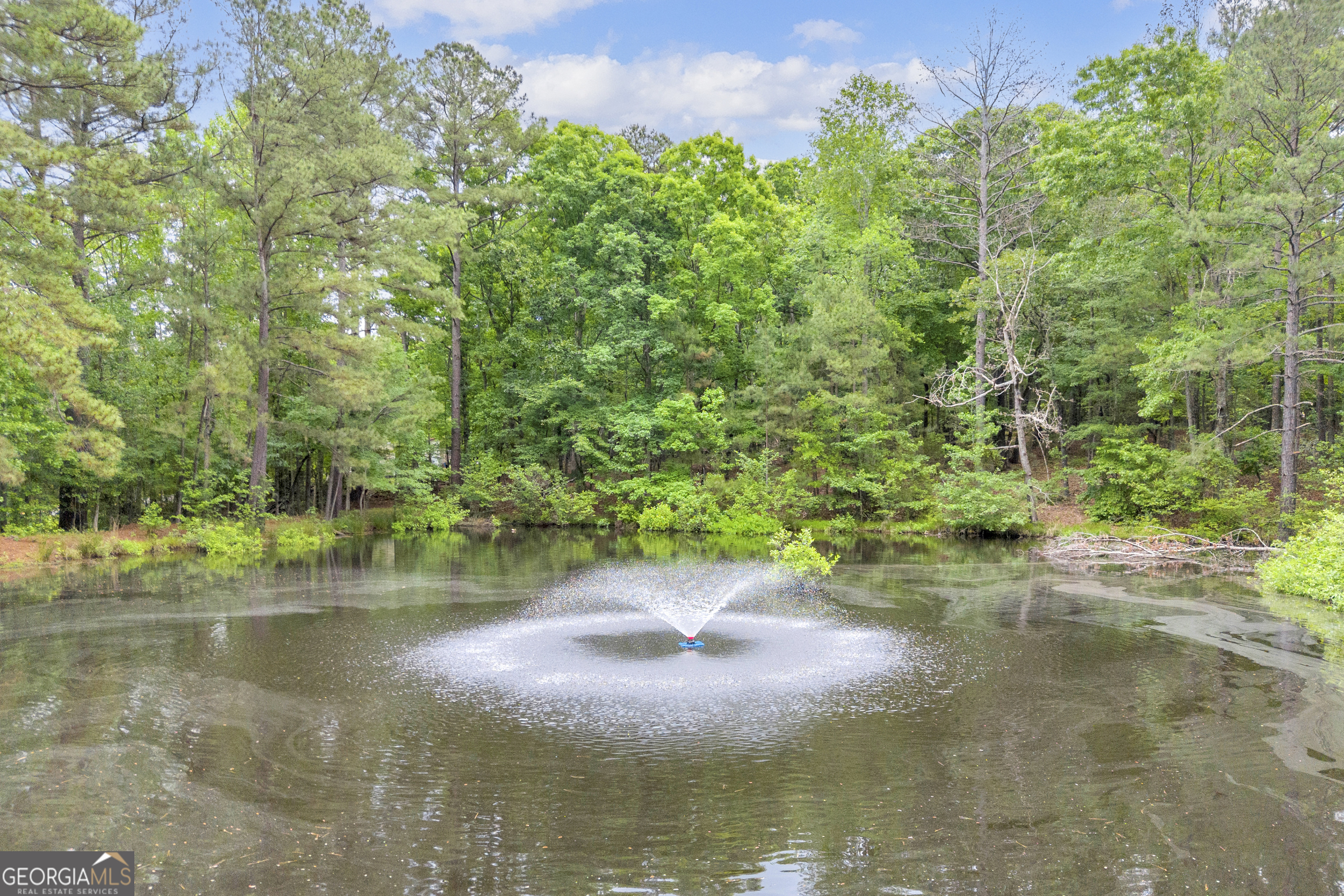 1597 Mercier Road Property Photo 31