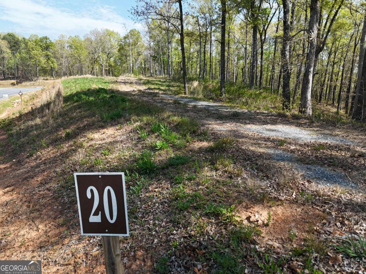 Lt 20 Blalock Mountain Road Property Photo 1