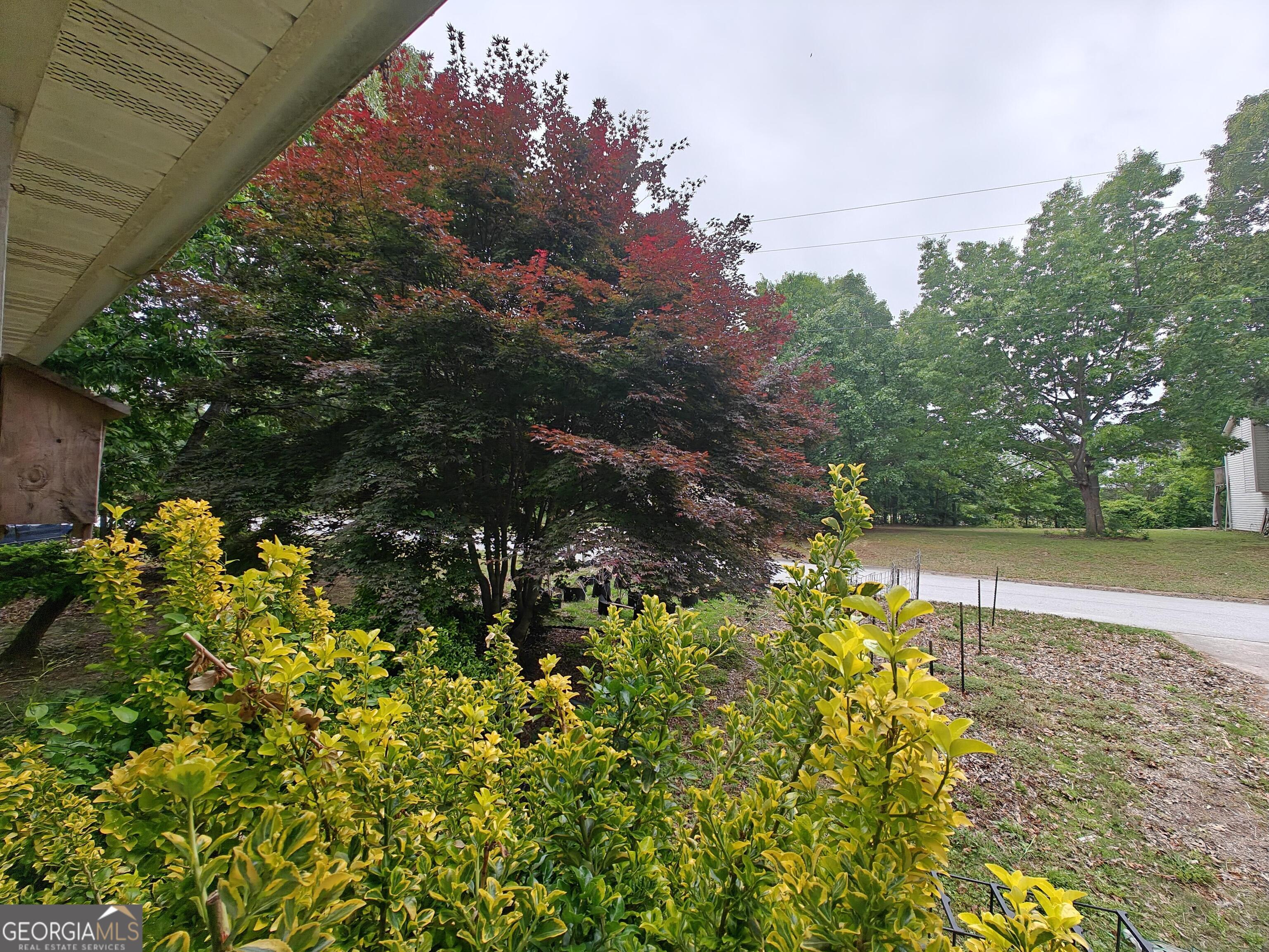 115 Cash Way Property Photo 2