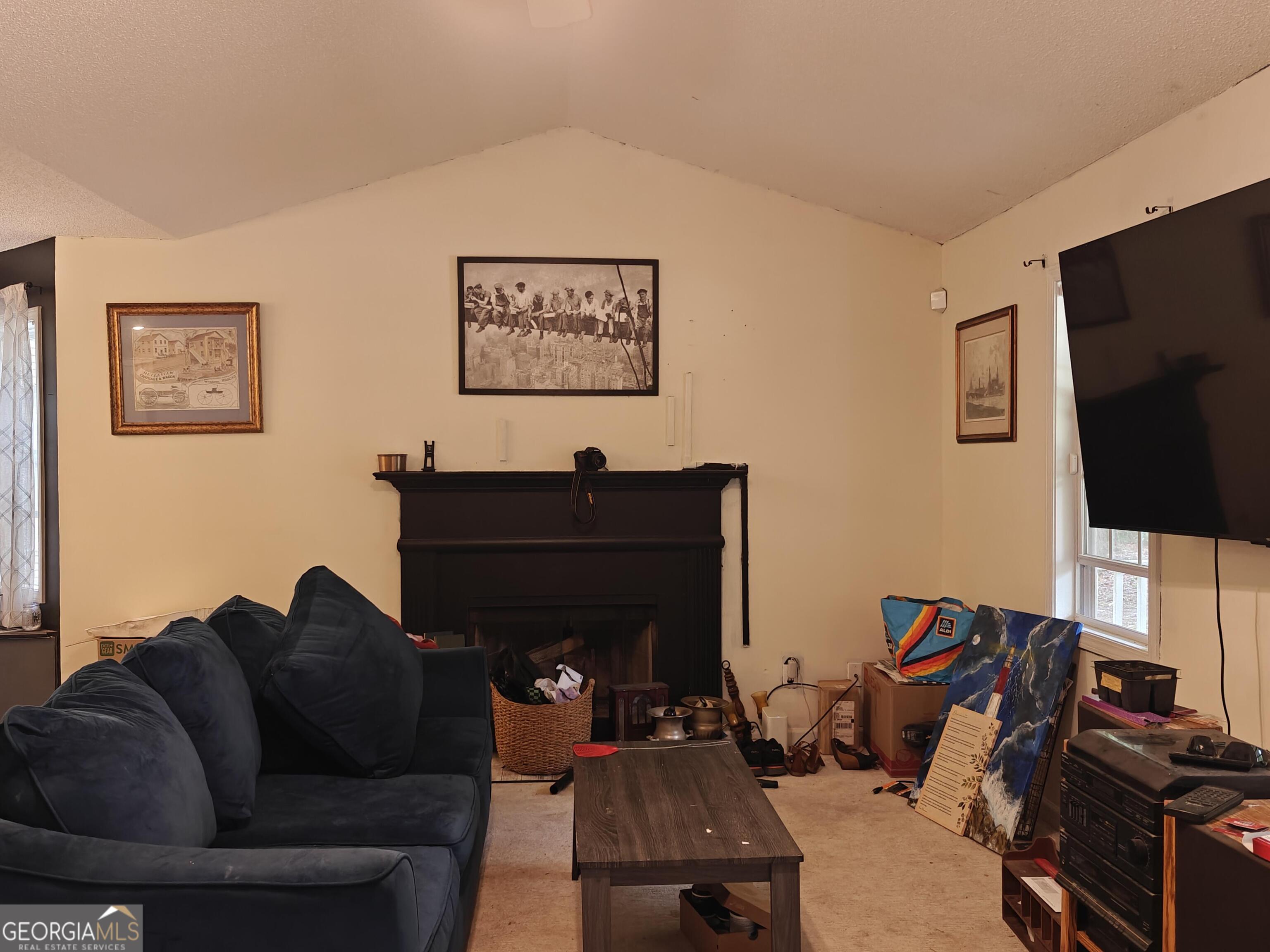 115 Cash Way Property Photo 8