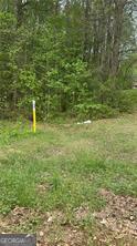 314 Highway 314 Highway 314 Property Photo 3