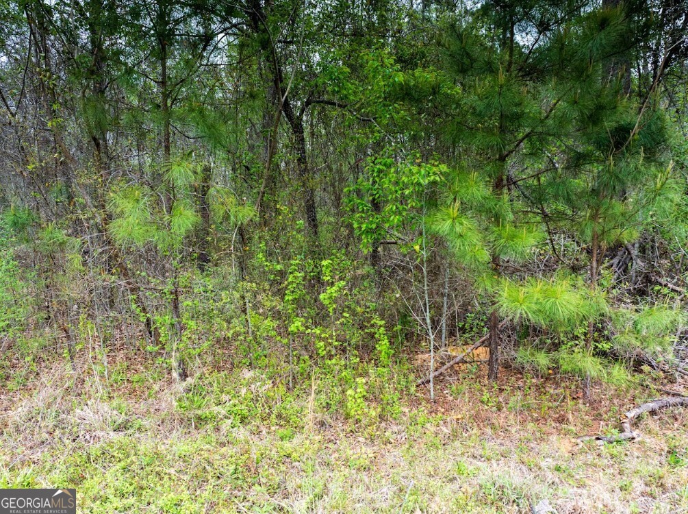 0 Morris Station # A Property Photo 3