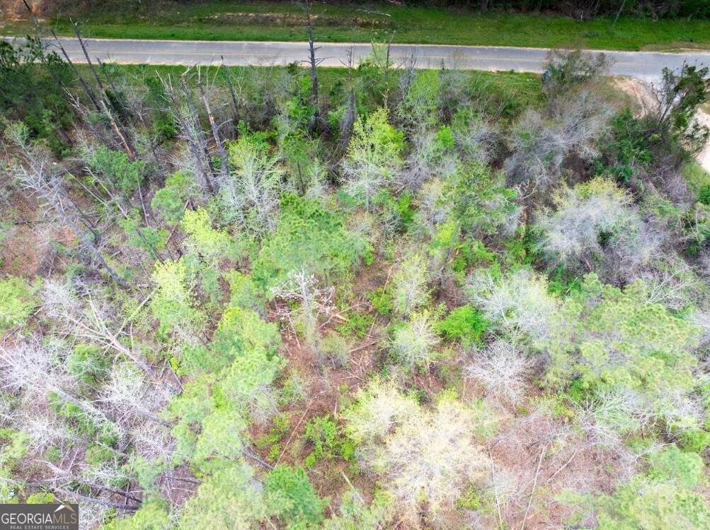 0 Morris Station # A Property Photo 7