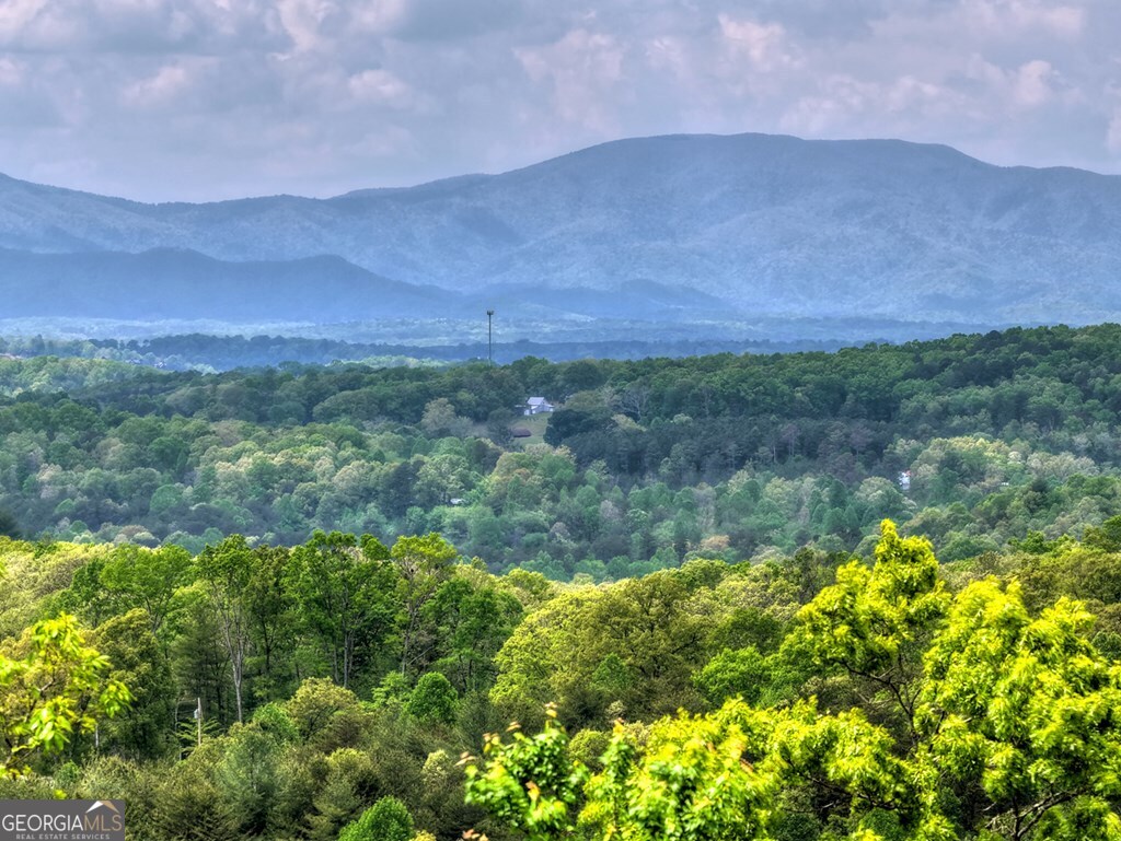 291 Tower Road Property Photo 9