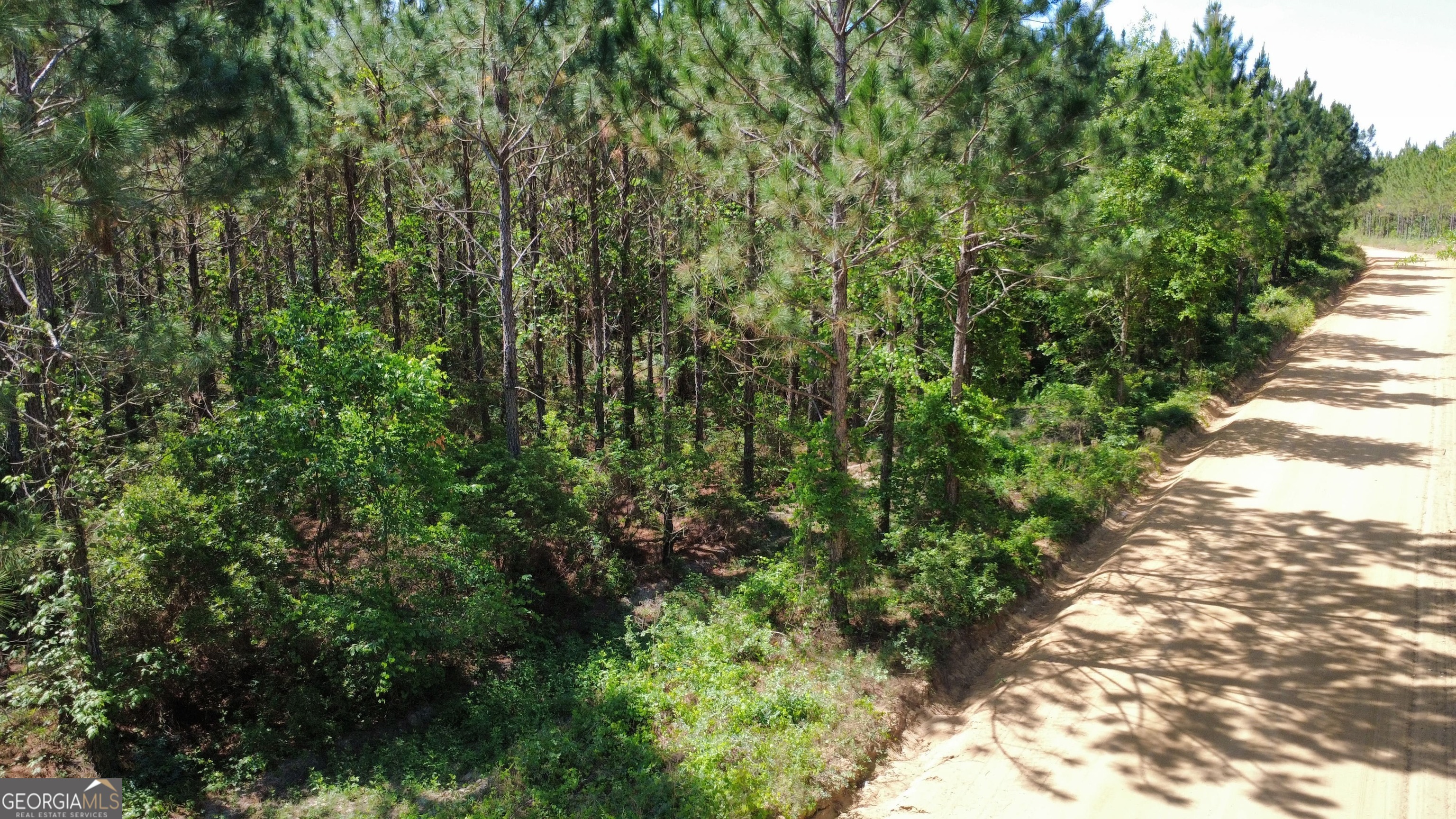 0 Sunflower Road Property Photo 3