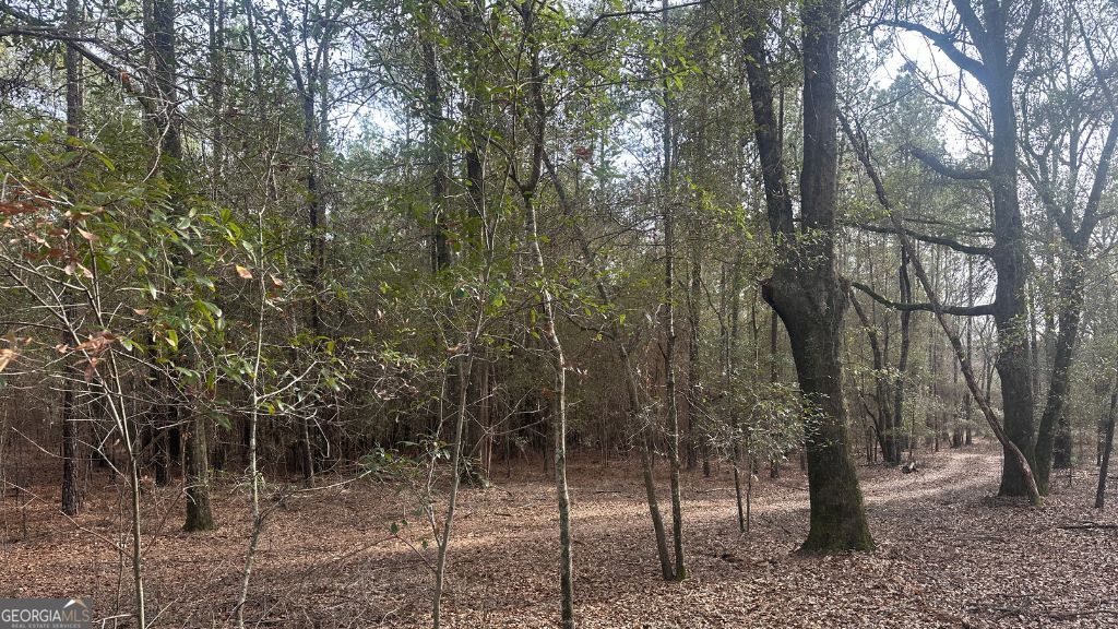 4 Country Club Road Lot 4 Property Photo 6