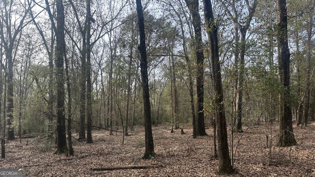 4 Country Club Road Lot 4 Property Photo 8