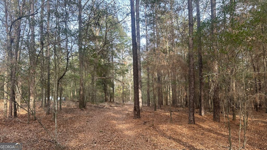4 Country Club Road Lot 4 Property Photo 10