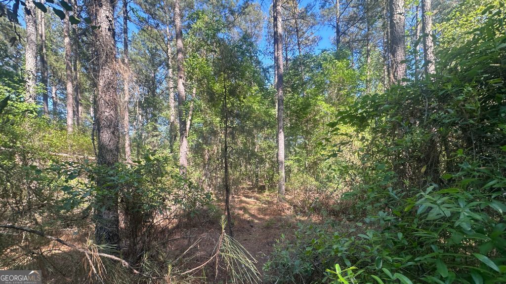 4 Country Club Road Lot 4 Property Photo 21