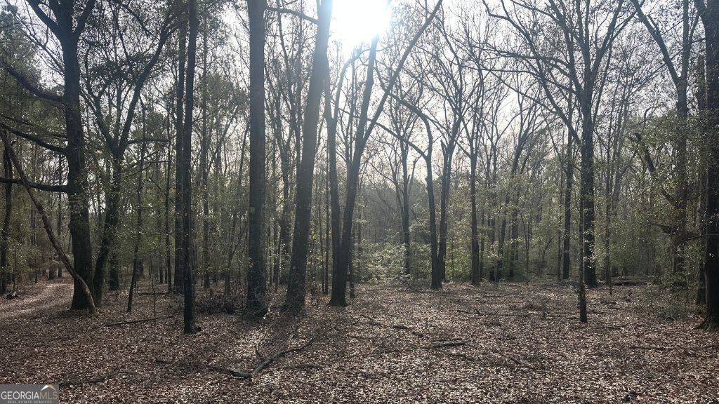 8 Country Club Road Lot 8 Property Photo 9