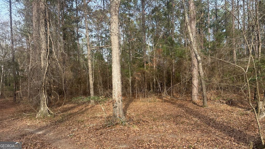 8 Country Club Road Lot 8 Property Photo 11