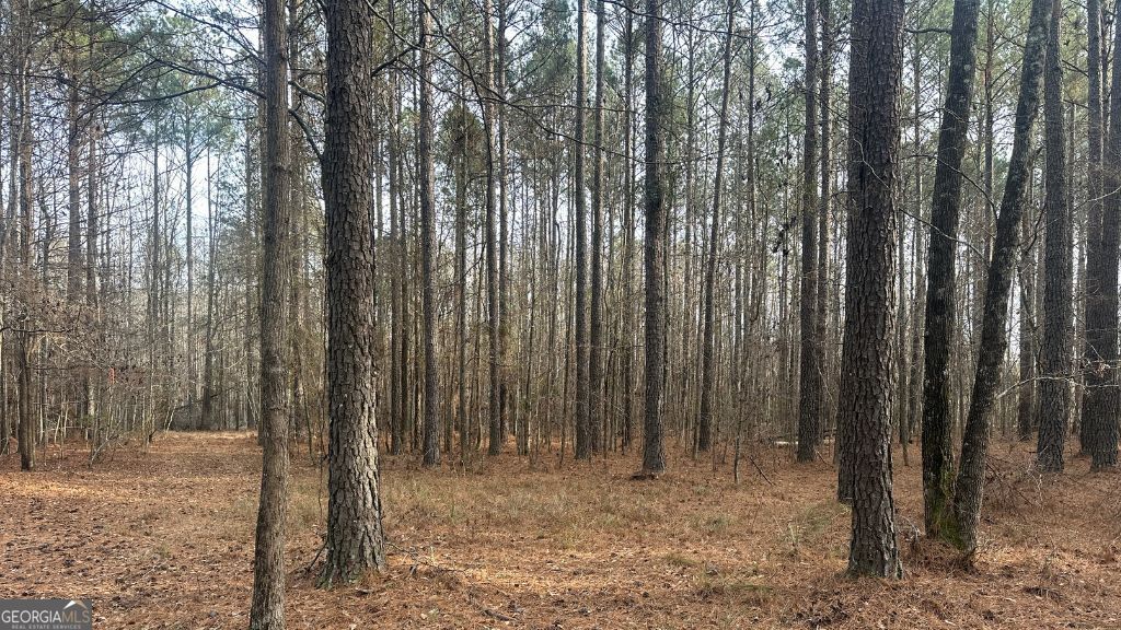 8 Country Club Road Lot 8 Property Photo 14