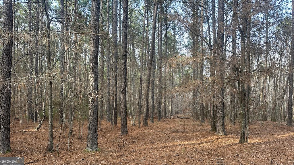 8 Country Club Road Lot 8 Property Photo 15