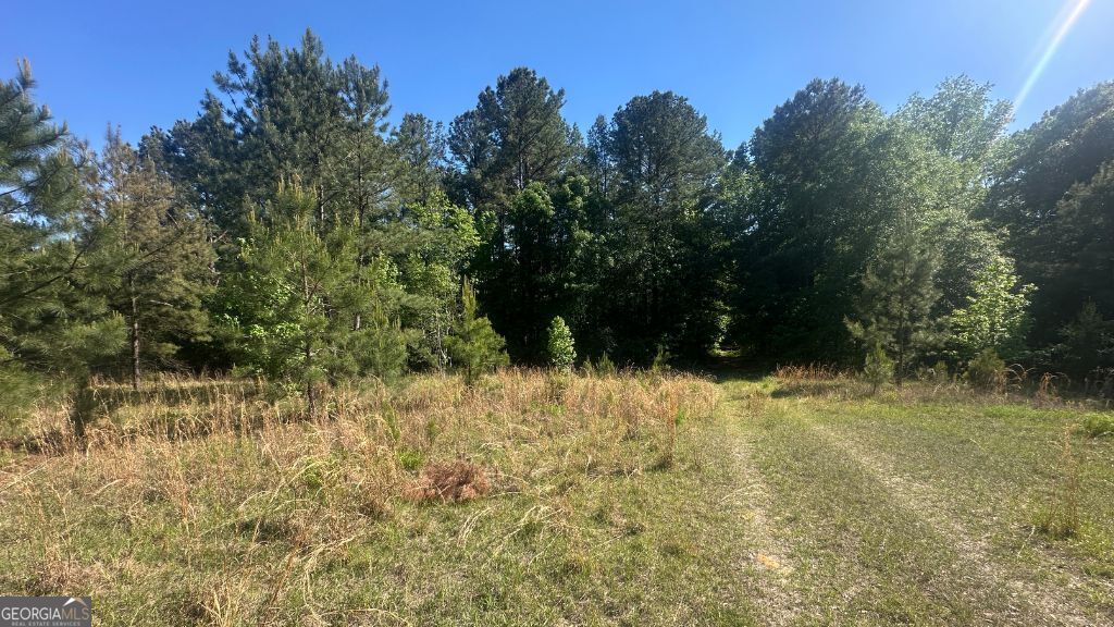 8 Country Club Road Lot 8 Property Photo 18