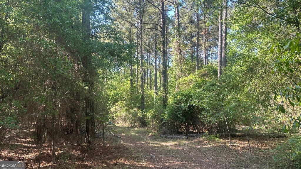 8 Country Club Road Lot 8 Property Photo 20
