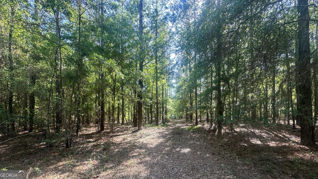 8 Country Club Road Lot 8 Property Photo 22