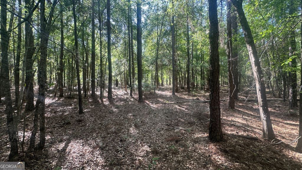 8 Country Club Road Lot 8 Property Photo 23