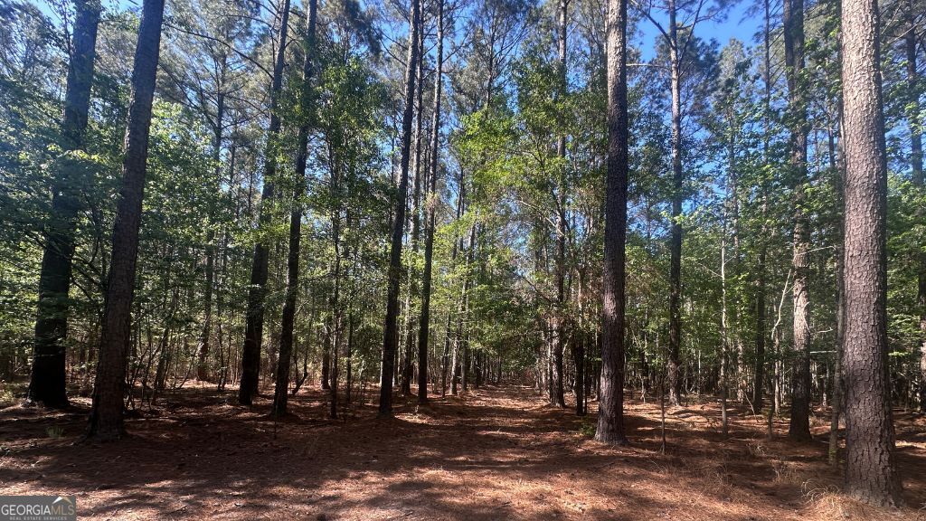 8 Country Club Road Lot 8 Property Photo 24