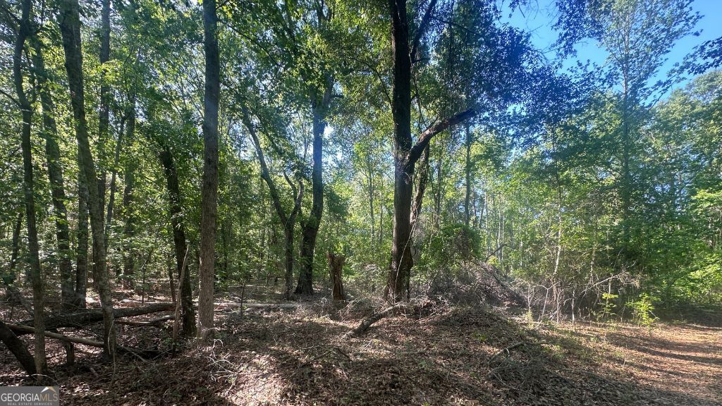 8 Country Club Road Lot 8 Property Photo 25