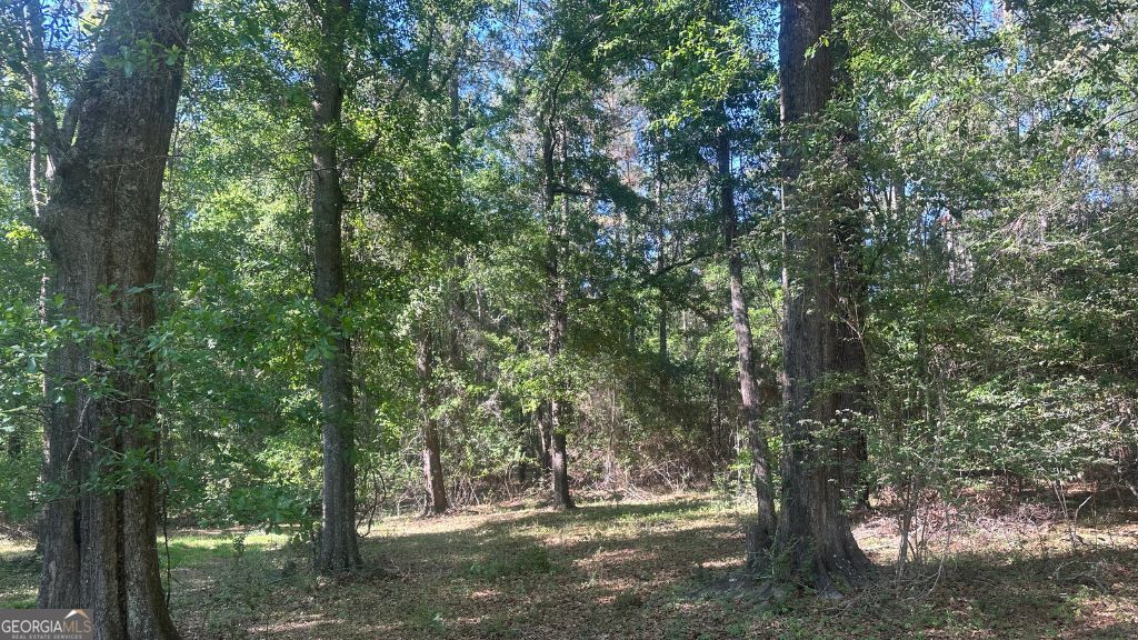 8 Country Club Road Lot 8 Property Photo 26