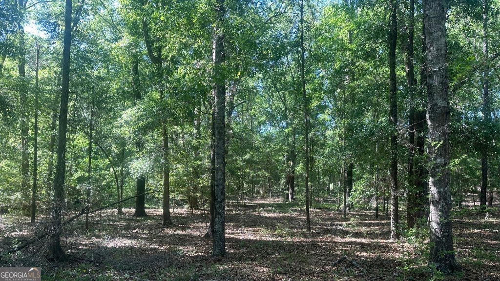 8 Country Club Road Lot 8 Property Photo 29