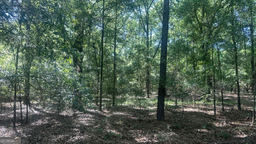 8 Country Club Road Lot 8 Property Photo 30